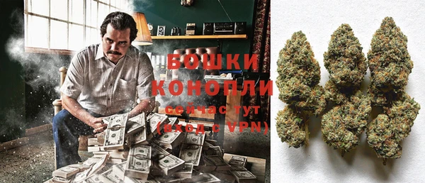 ГАЛЛЮЦИНОГЕННЫЕ ГРИБЫ Алзамай
