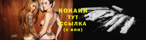 твердый Алексин