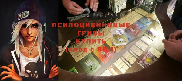 ГАЛЛЮЦИНОГЕННЫЕ ГРИБЫ Алзамай