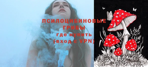 твердый Алексин
