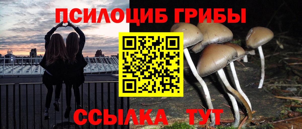 Галлюциногенные грибы мухоморы Кохма
