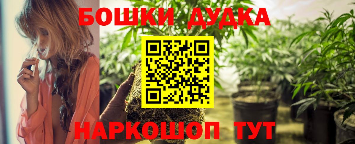 Каннабис Amnesia Кохма
